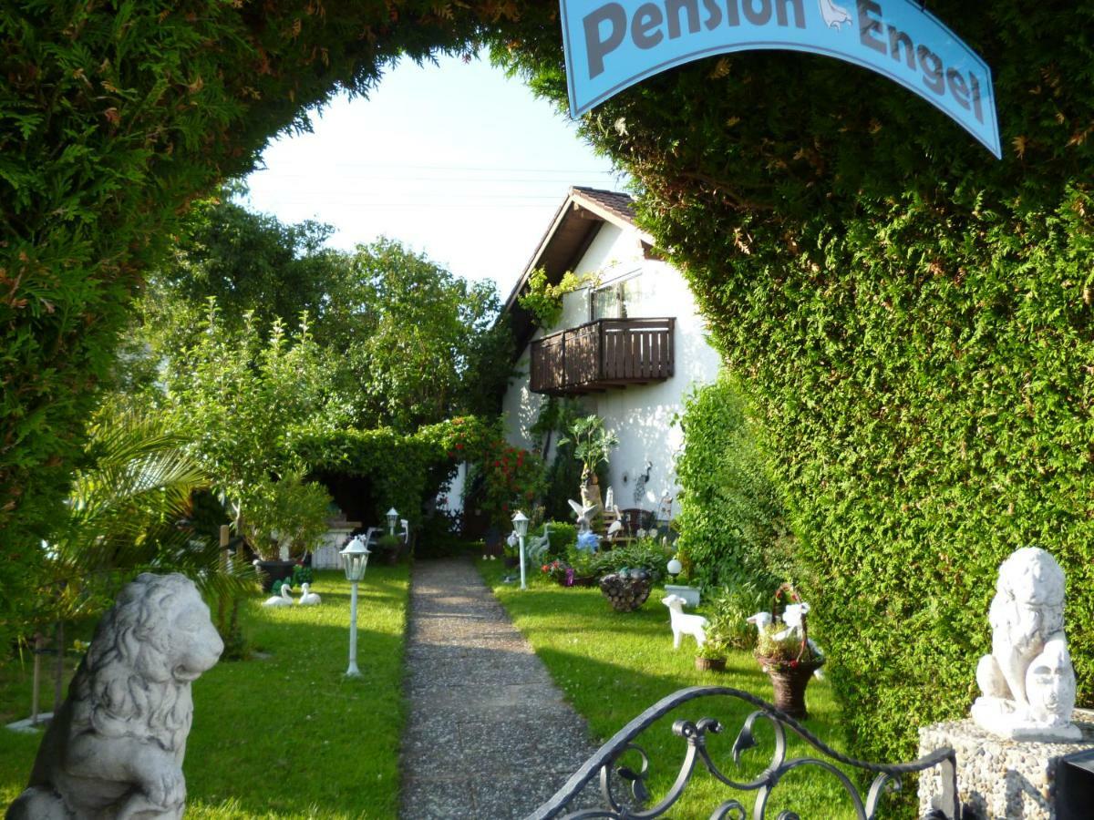 Pension Engel Oberschonegg المظهر الخارجي الصورة